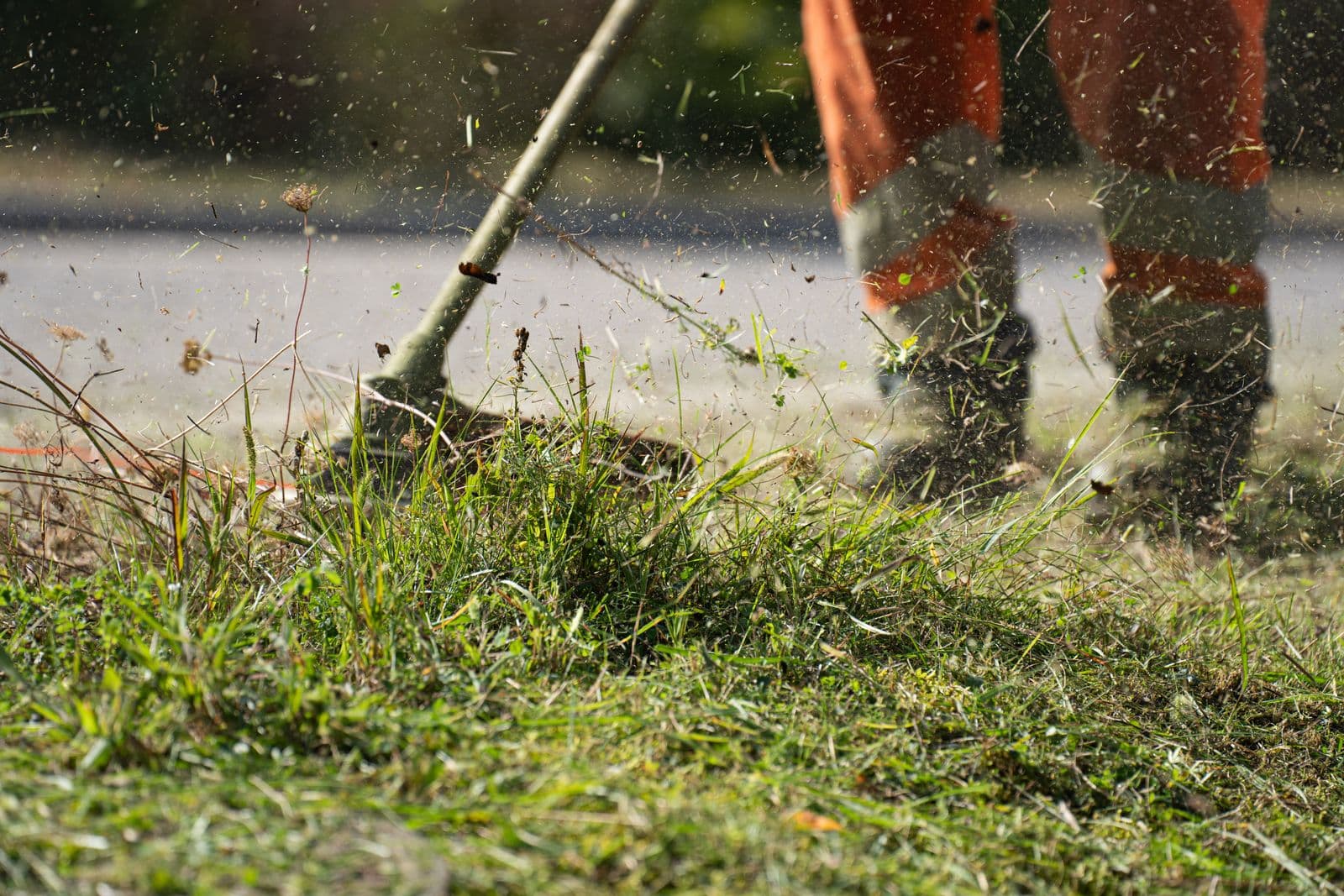 Crew string-trimming grass along a curb
